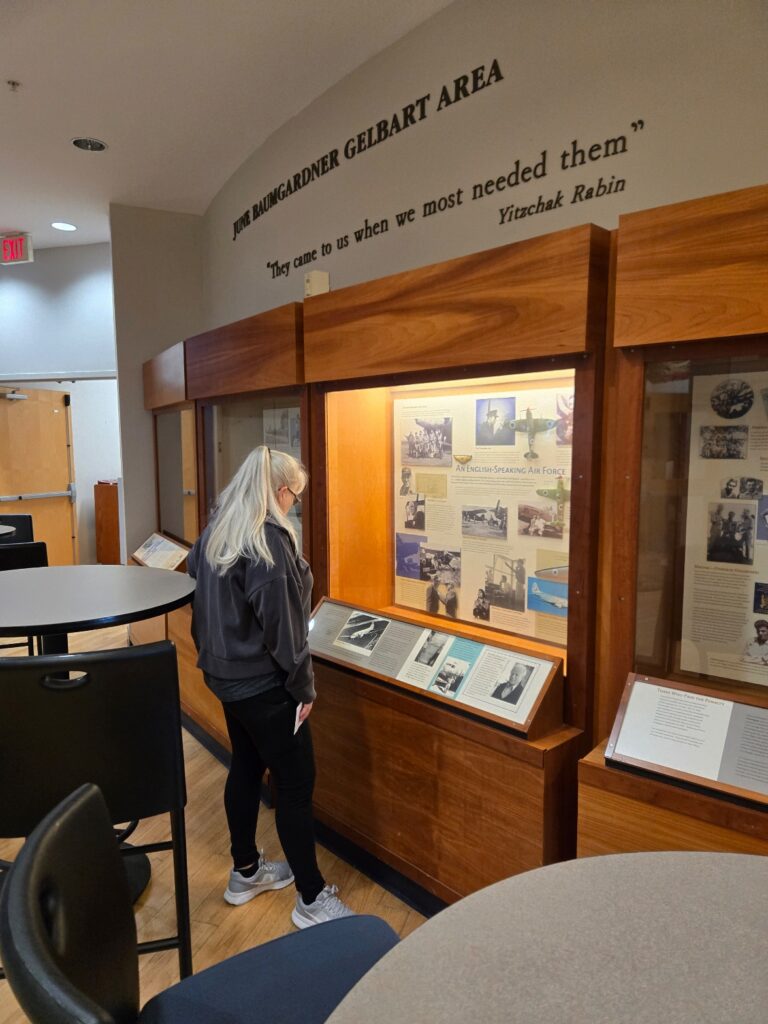 The exhibit installed in the gallery