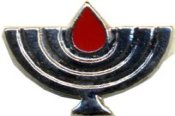 The Decoration of State Warriors menorah badge